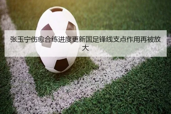 张玉宁伤愈合练进度更新国足锋线支点作用再被放大